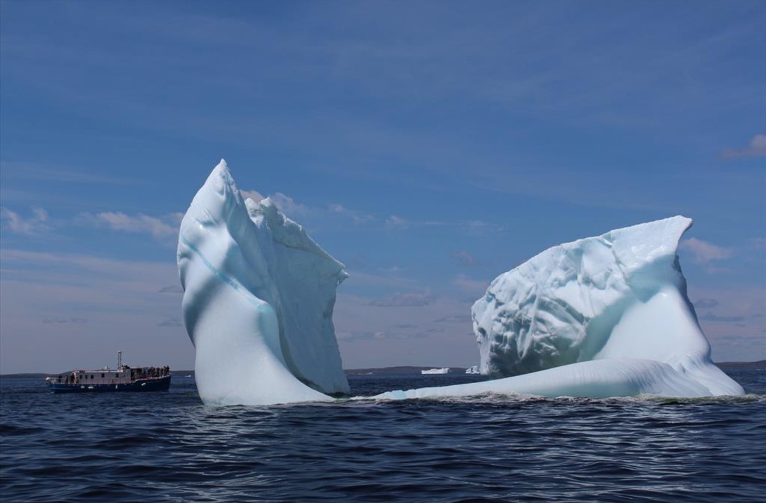 Iceberg Hunting Special